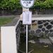 2005_indonesiatrip_204_2